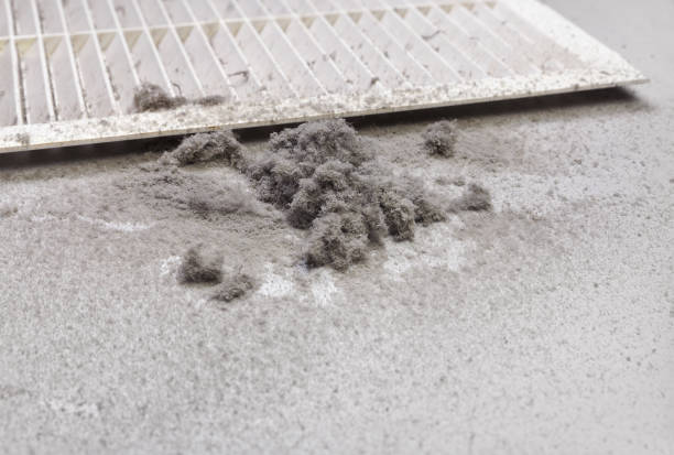 Best General Air Duct Cleaning  in Woodward, IA