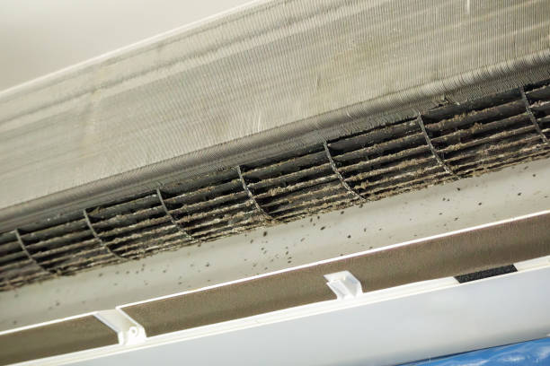 Air Duct Mold Removal in Woodward, IA